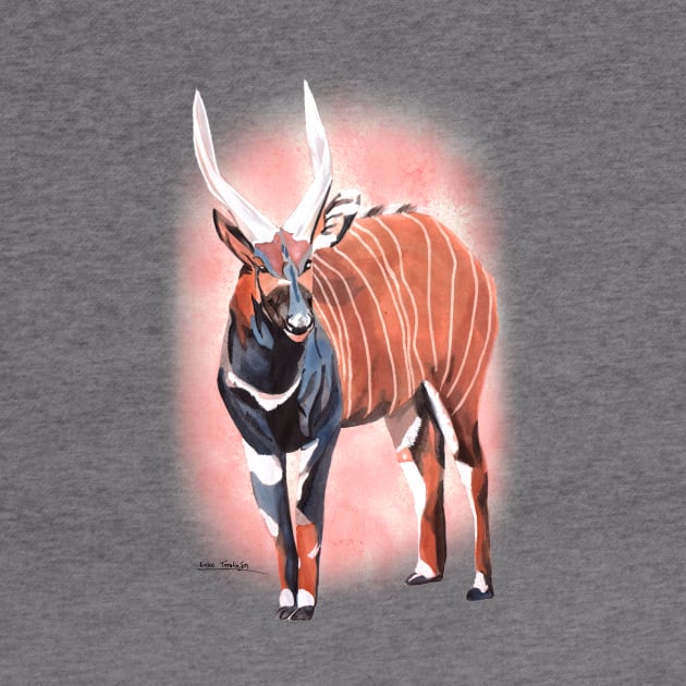 Bongo - Antelope by lucafon18